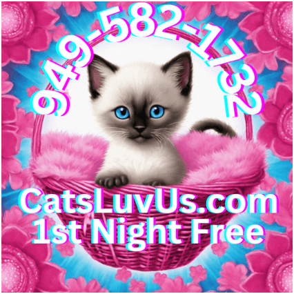 Cats Luv Us — cat in basket