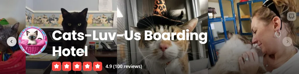 Yelp reviews — Cats-Luv-Us Boarding Hotel highly rated cat boarding