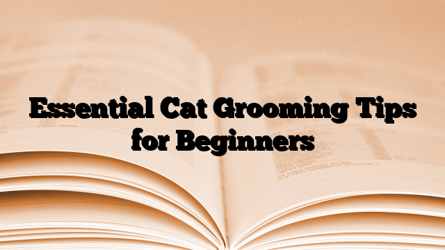 Essential Cat Grooming Tips for Beginners